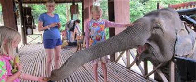 Biking and Elephant Riding